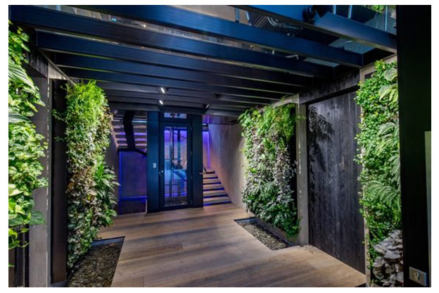 Trend Alert: Biophilic Design